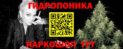 гашик Ливны