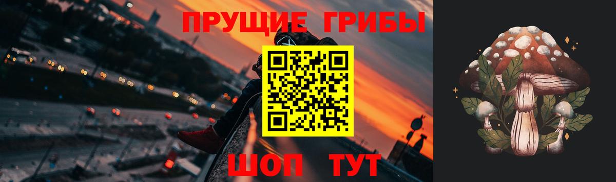 Галлюциногенные грибы мухоморы Заинск